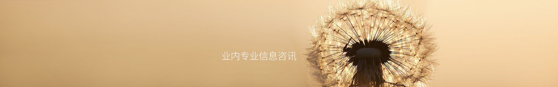 比特派