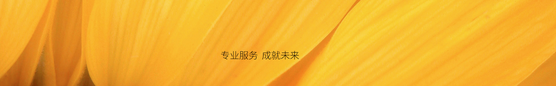 bitpie网址